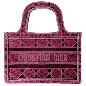 ディオール ブックトート ミニ カナージュ エンブロイダリー キャンバス バーガンディー トートバッグ