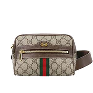 グッチ オフィディア スモール GGスプリーム コーティング キャンバス レザー ブラウン ベルトバッグ